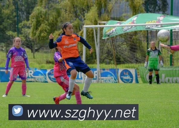 乐鱼官方网站，乐鱼online（中国）平台生态图